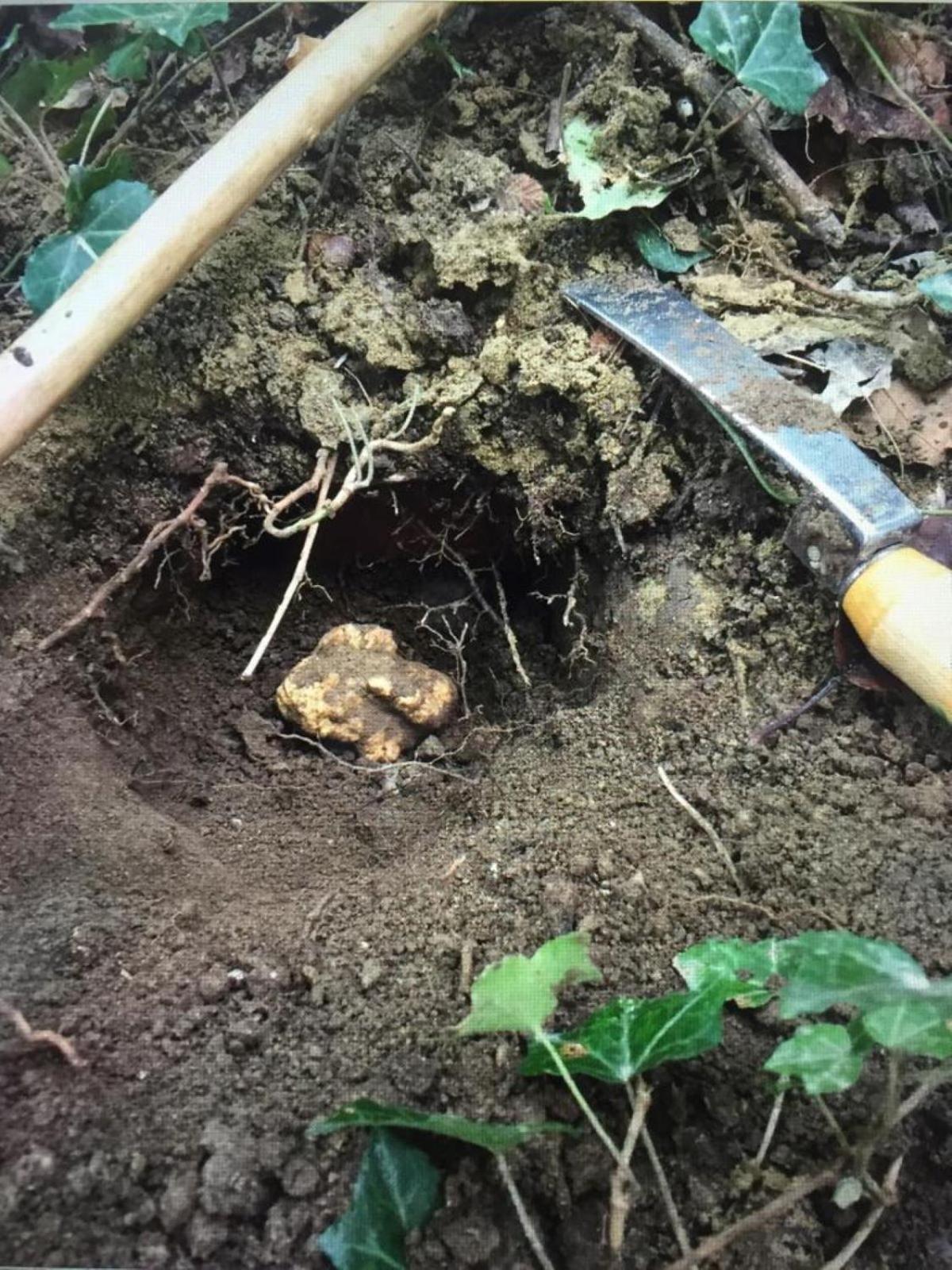 Appartamento Peiragal La Morra Esterno foto